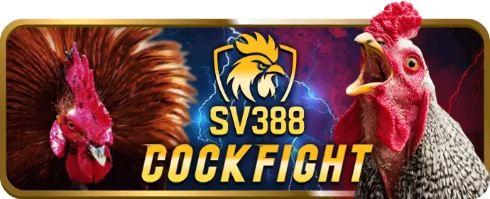 Tại Sao Nên Chọn Zbet88